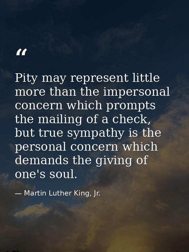 Pity may represent little more than the impersonal concern which prompts the mailing of a check, but true sympathy is th — Martin Luther King, Jr.