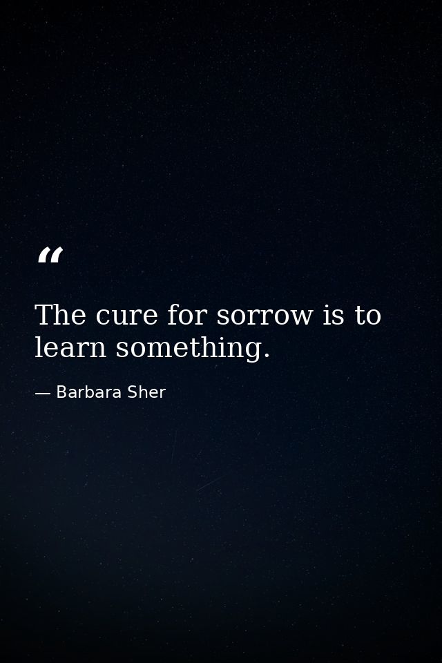 The cure for sorrow is to learn something. — Barbara Sher