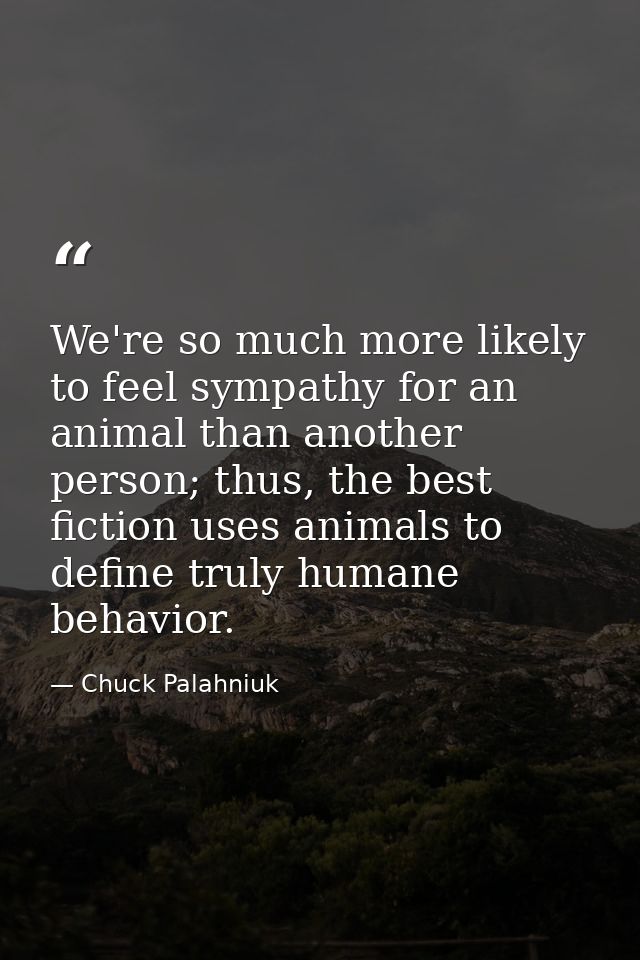 We're so much more likely to feel sympathy for an animal than another person; thus, the best fiction uses animals to def — Chuck Palahniuk