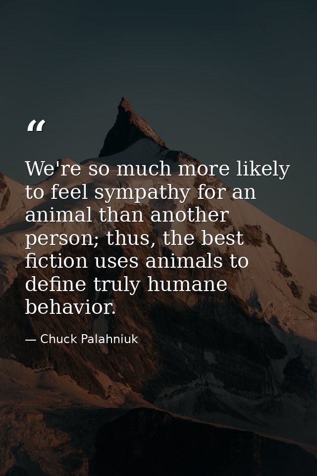 We're so much more likely to feel sympathy for an animal than another person; thus, the best fiction uses animals to def — Chuck Palahniuk