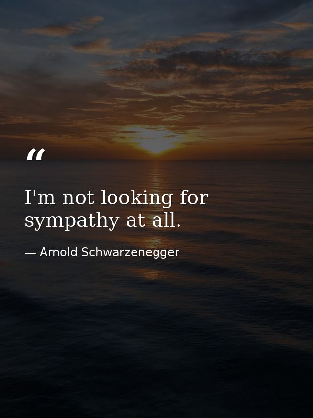 I'm not looking for sympathy at all. — Arnold Schwarzenegger
