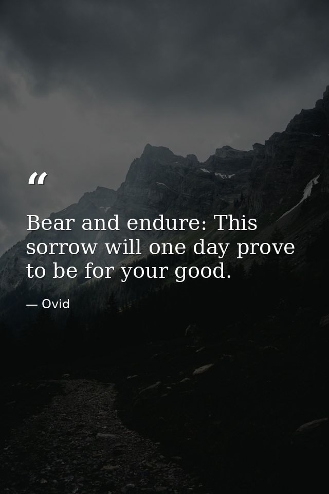 Bear and endure: This sorrow will one day prove to be for your good. — Ovid