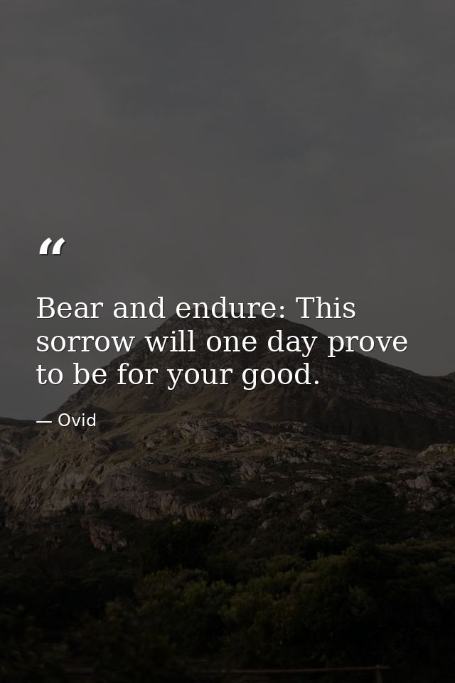 Bear and endure: This sorrow will one day prove to be for your good. — Ovid