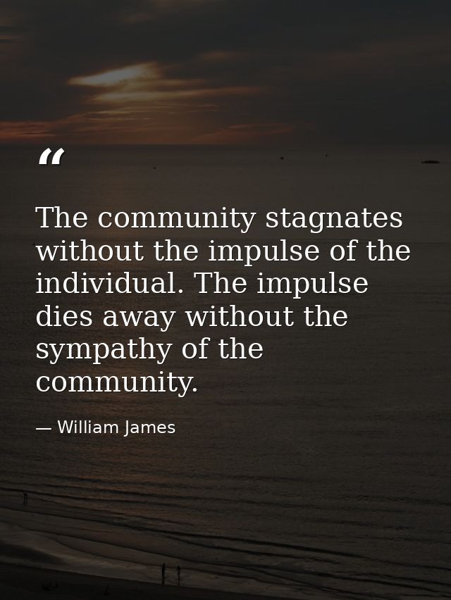 The community stagnates without the impulse of the individual. The impulse dies away without the sympathy of the communi — William James