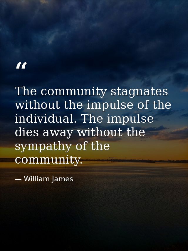 The community stagnates without the impulse of the individual. The impulse dies away without the sympathy of the communi — William James