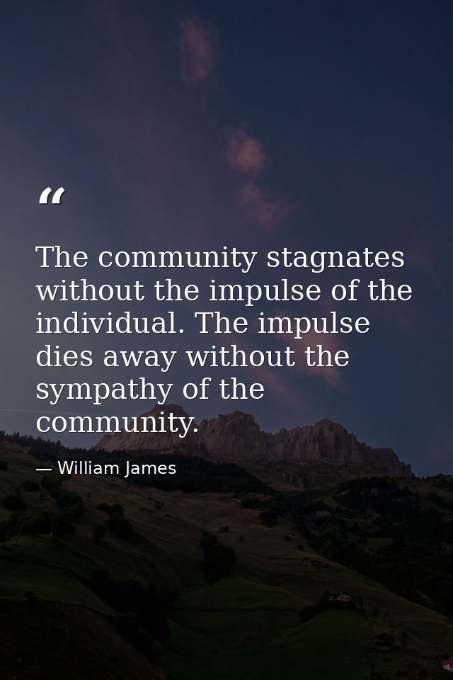 The community stagnates without the impulse of the individual. The impulse dies away without the sympathy of the communi — William James