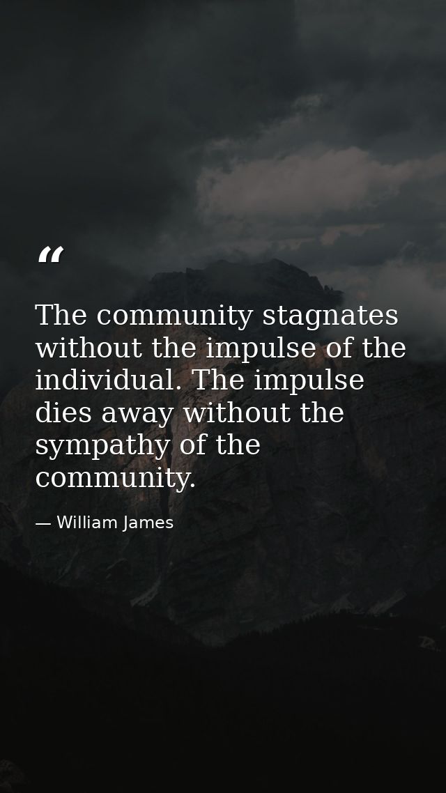 The community stagnates without the impulse of the individual. The impulse dies away without the sympathy of the communi — William James