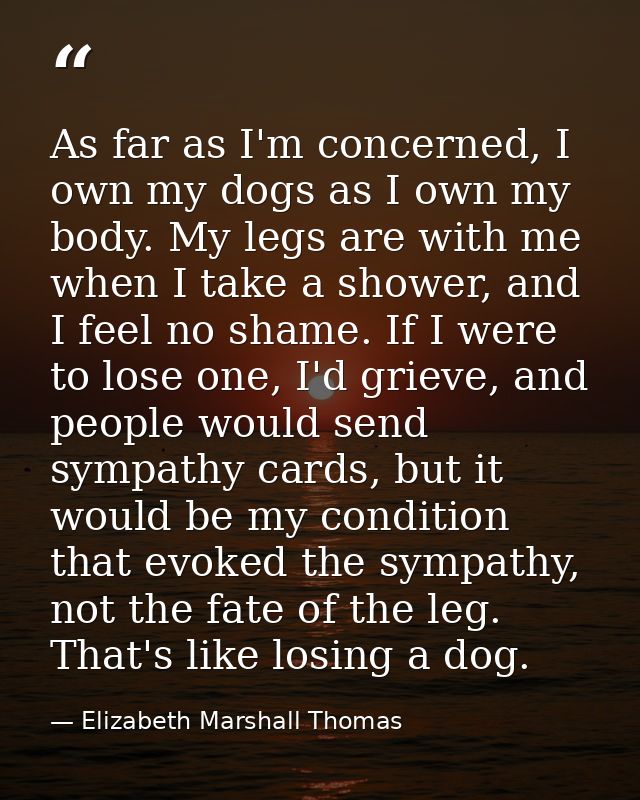 As far as I'm concerned, I own my dogs as I own my body. My legs are with me when I take a shower, and I feel no shame.  — Elizabeth Marshall Thomas