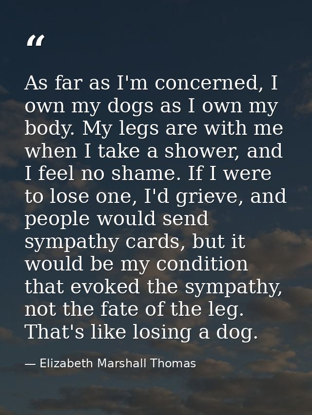 As far as I'm concerned, I own my dogs as I own my body. My legs are with me when I take a shower, and I feel no shame.  — Elizabeth Marshall Thomas