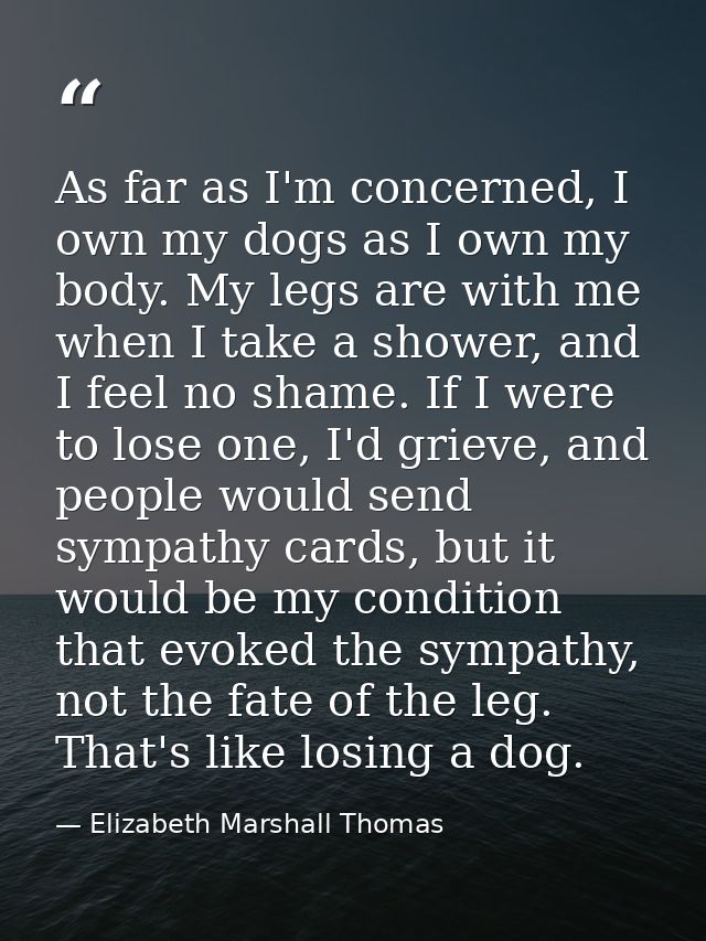 As far as I'm concerned, I own my dogs as I own my body. My legs are with me when I take a shower, and I feel no shame.  — Elizabeth Marshall Thomas