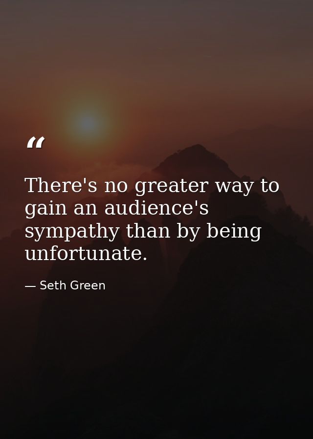 There's no greater way to gain an audience's sympathy than by being unfortunate. — Seth Green