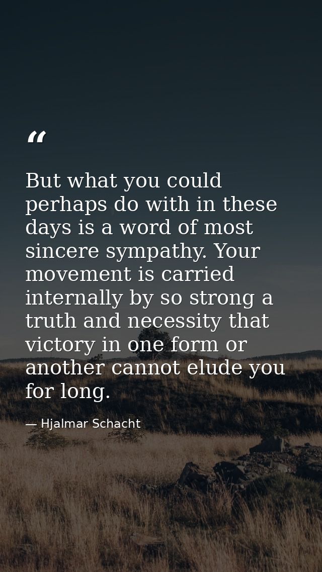 But what you could perhaps do with in these days is a word of most sincere sympathy. Your movement is carried internally — Hjalmar Schacht