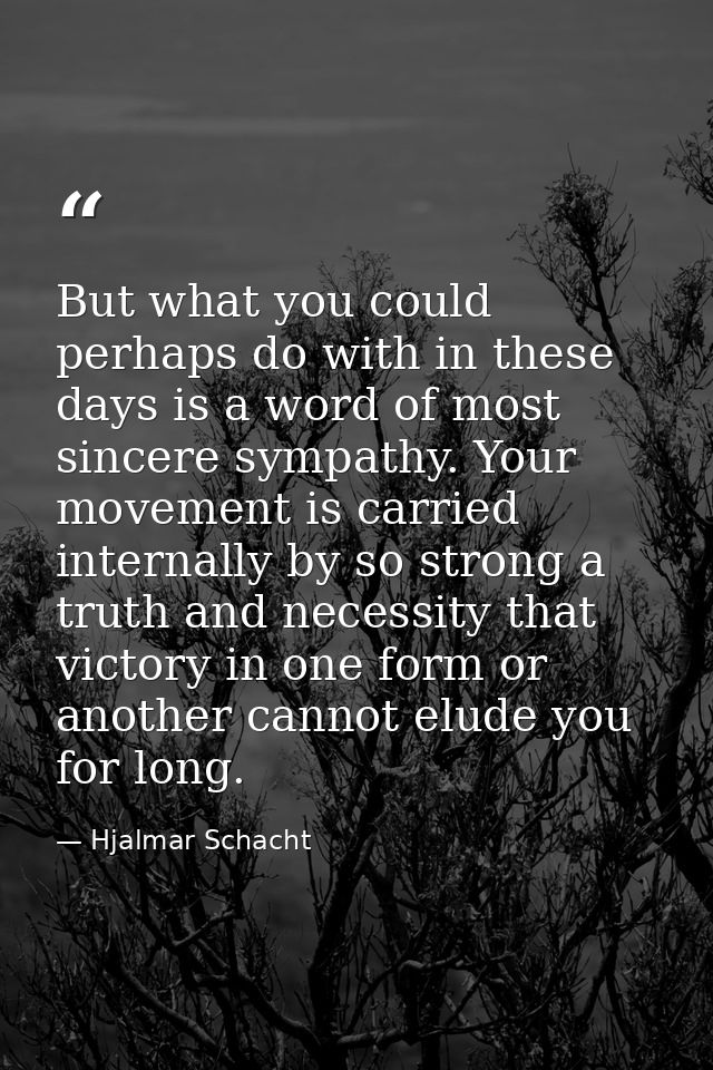 But what you could perhaps do with in these days is a word of most sincere sympathy. Your movement is carried internally — Hjalmar Schacht