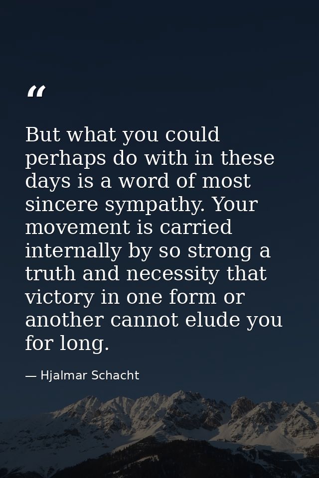 But what you could perhaps do with in these days is a word of most sincere sympathy. Your movement is carried internally — Hjalmar Schacht