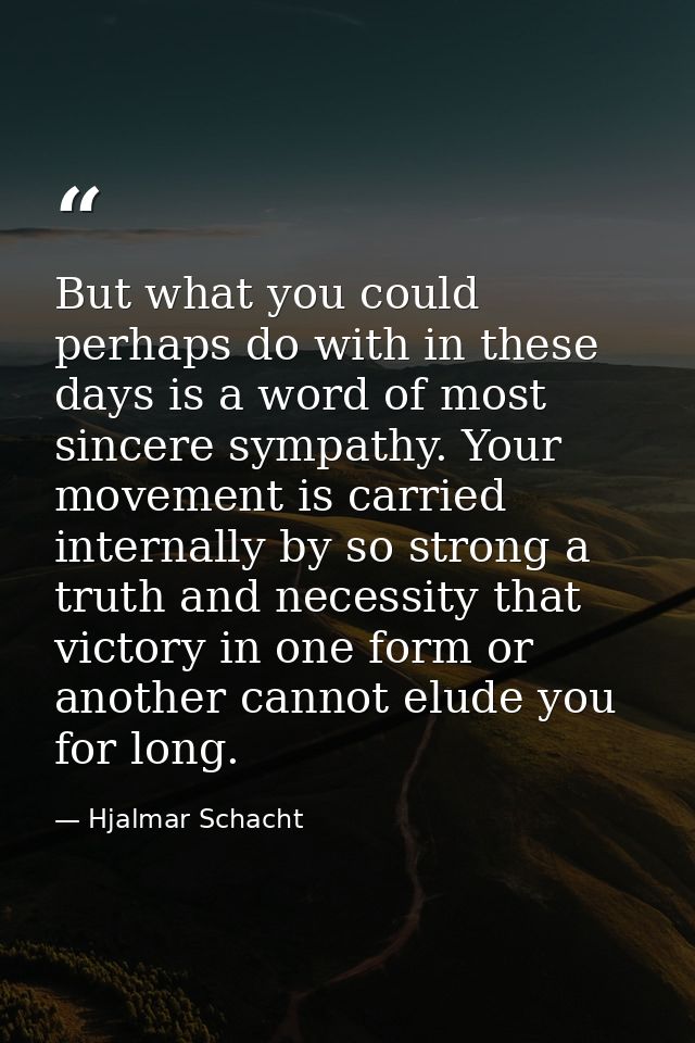 But what you could perhaps do with in these days is a word of most sincere sympathy. Your movement is carried internally — Hjalmar Schacht