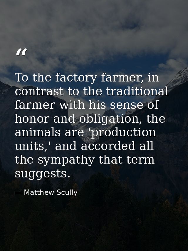 To the factory farmer, in contrast to the traditional farmer with his sense of honor and obligation, the animals are 'pr — Matthew Scully