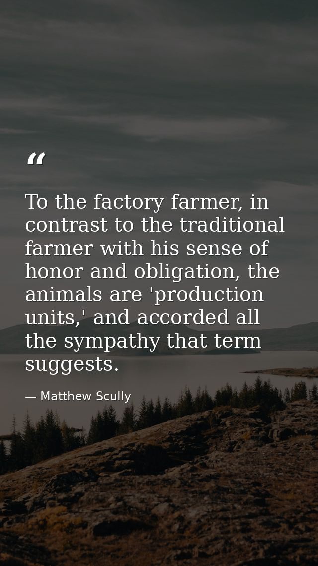 To the factory farmer, in contrast to the traditional farmer with his sense of honor and obligation, the animals are 'pr — Matthew Scully