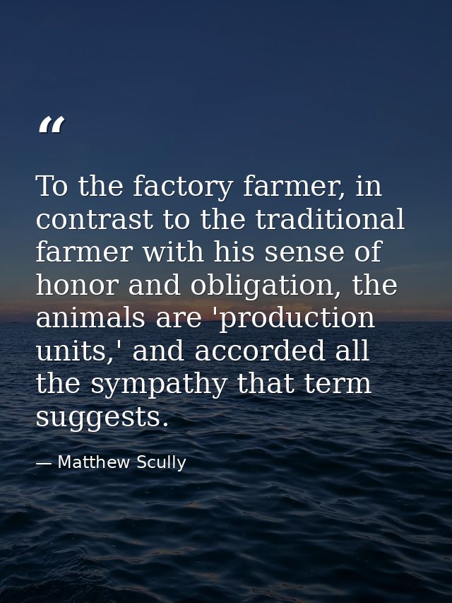 To the factory farmer, in contrast to the traditional farmer with his sense of honor and obligation, the animals are 'pr — Matthew Scully