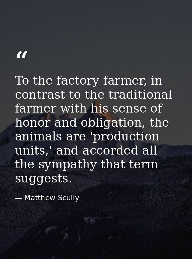 To the factory farmer, in contrast to the traditional farmer with his sense of honor and obligation, the animals are 'pr — Matthew Scully