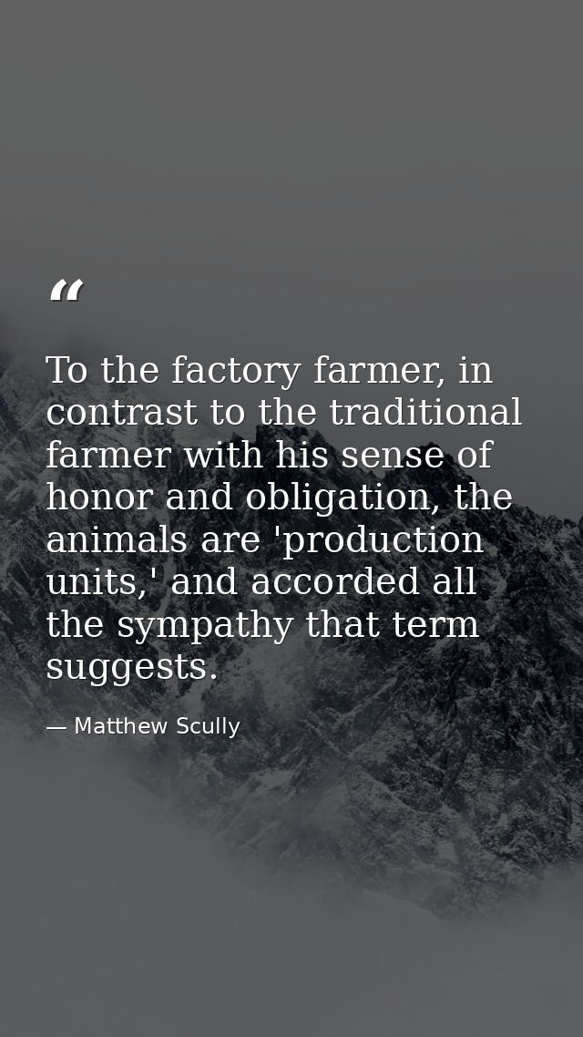 To the factory farmer, in contrast to the traditional farmer with his sense of honor and obligation, the animals are 'pr — Matthew Scully