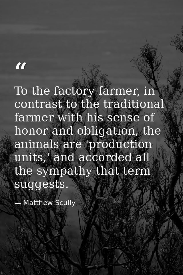 To the factory farmer, in contrast to the traditional farmer with his sense of honor and obligation, the animals are 'pr — Matthew Scully