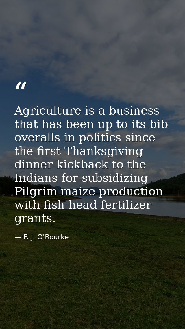 Agriculture is a business that has been up to its bib overalls in politics since the first Thanksgiving dinner kickback  — P. J. O'Rourke