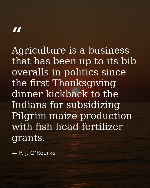 Agriculture is a business that has been up to its bib overalls in politics since the first Thanksgiving dinner kickback  — P. J. O'Rourke