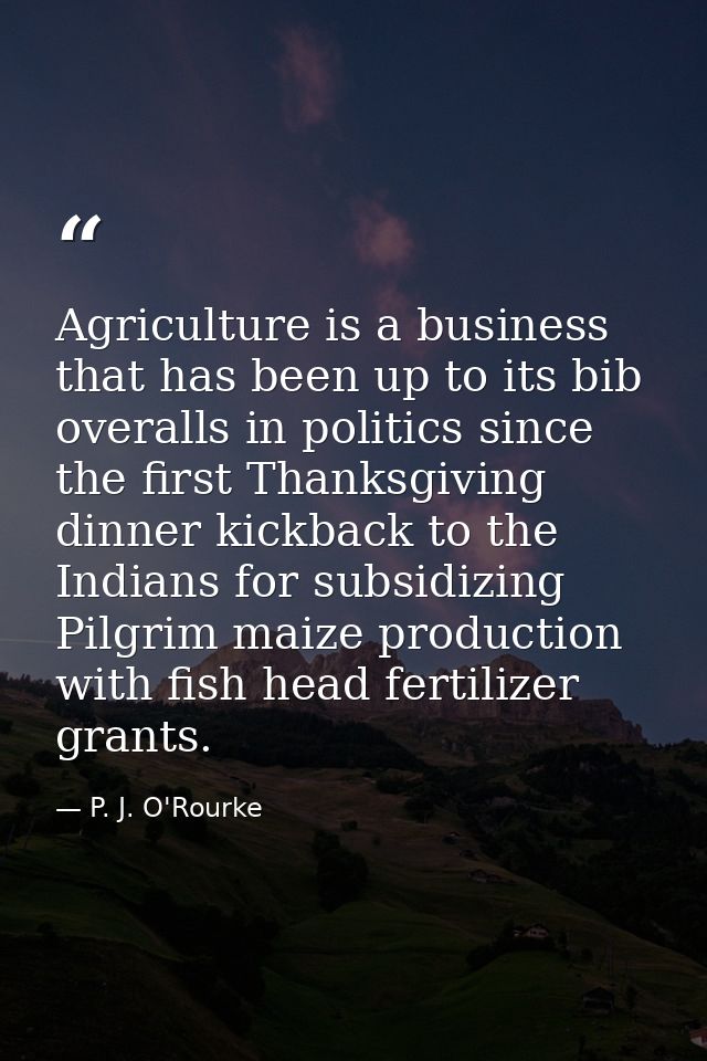 Agriculture is a business that has been up to its bib overalls in politics since the first Thanksgiving dinner kickback  — P. J. O'Rourke