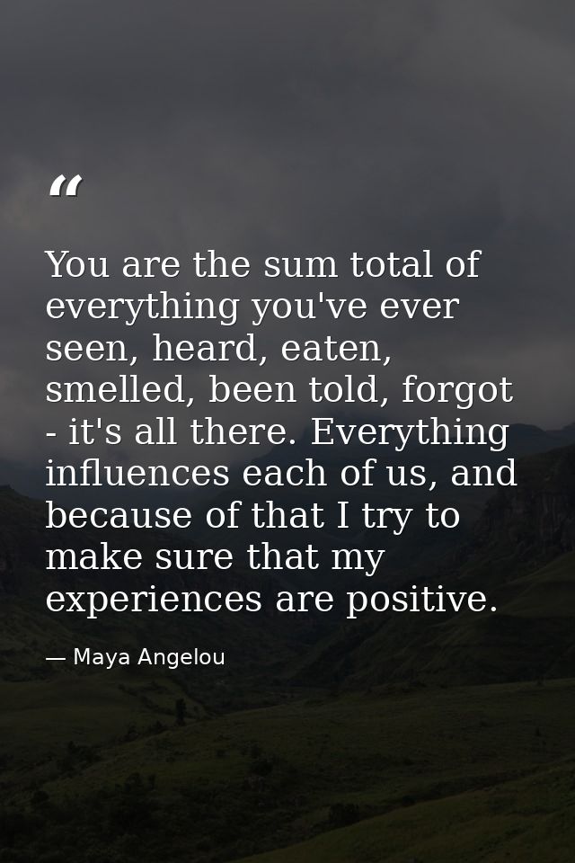 You are the sum total of everything you've ever seen, heard, eaten, smelled, been told, forgot - it's all there. Everyth — Maya Angelou