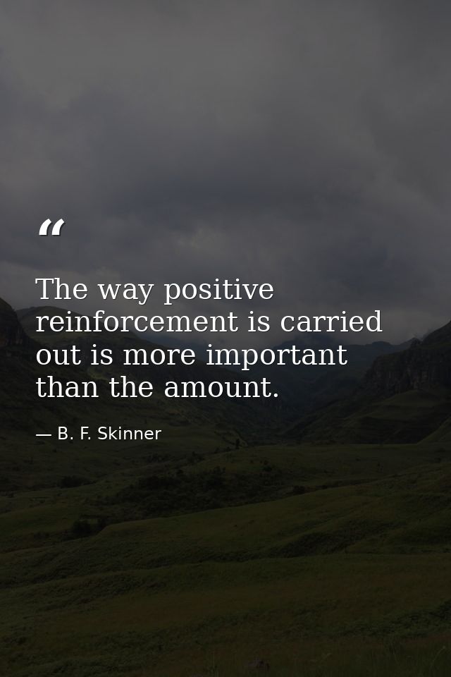 The way positive reinforcement is carried out is more important than the amount. — B. F. Skinner