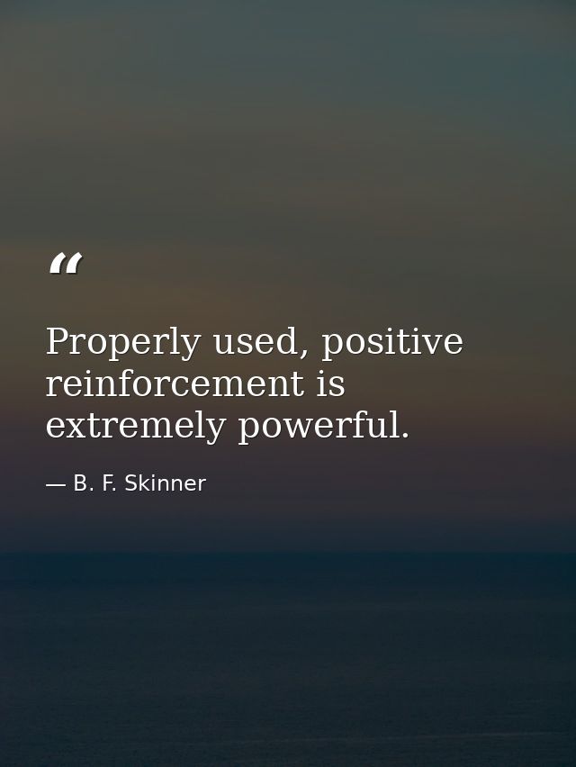 Properly used, positive reinforcement is extremely powerful. — B. F. Skinner