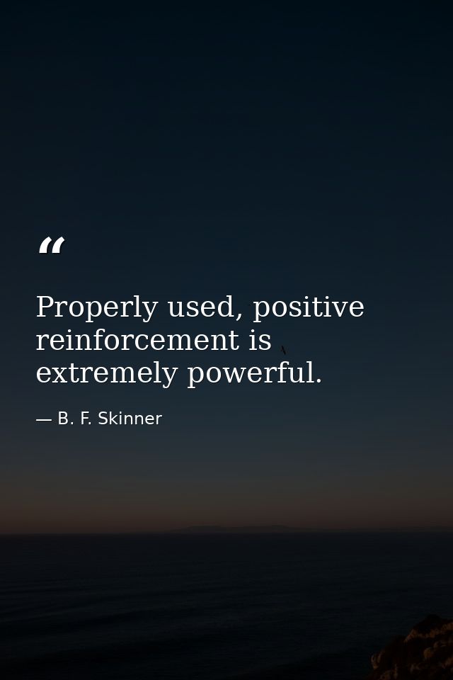 Properly used, positive reinforcement is extremely powerful. — B. F. Skinner