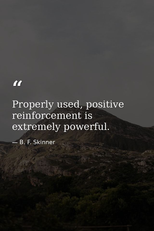 Properly used, positive reinforcement is extremely powerful. — B. F. Skinner