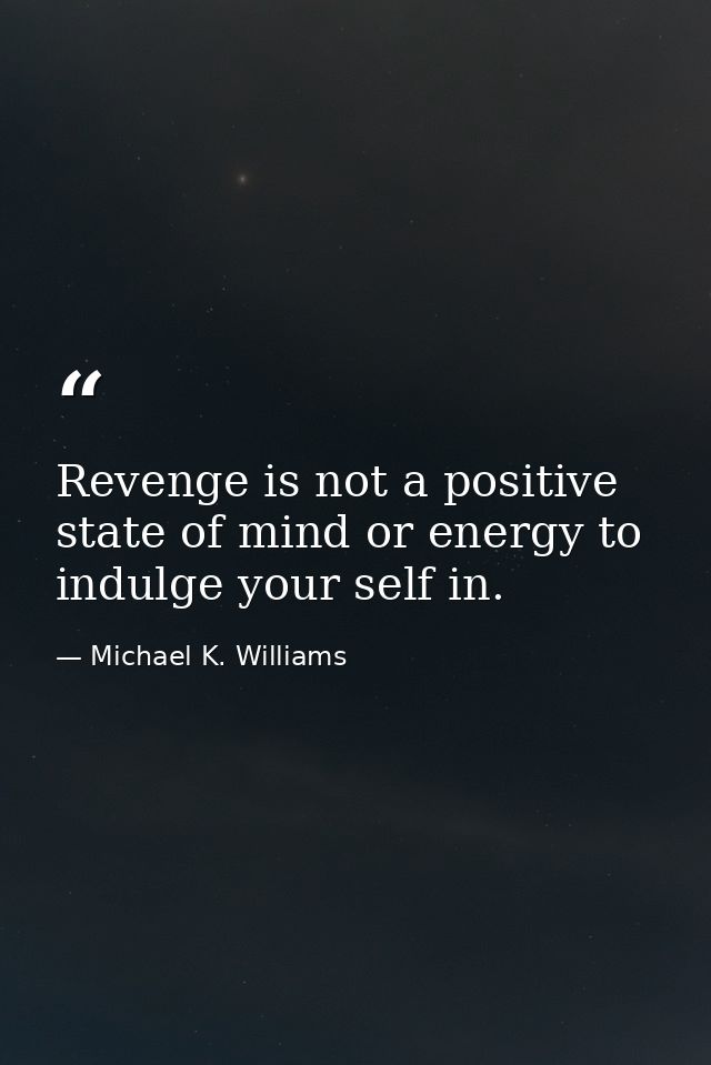 Revenge is not a positive state of mind or energy to indulge your self in. — Michael K. Williams