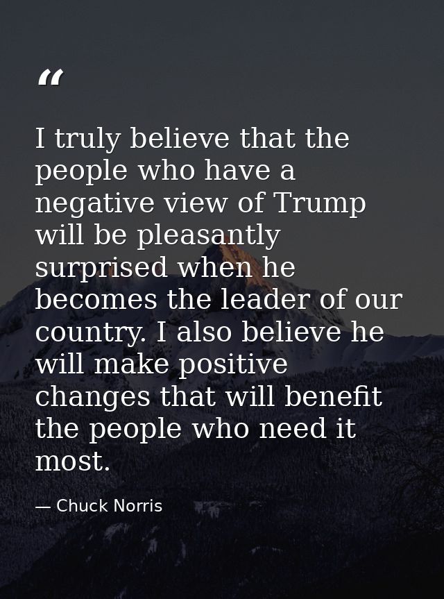I truly believe that the people who have a negative view of Trump will be pleasantly surprised when he becomes the leade — Chuck Norris