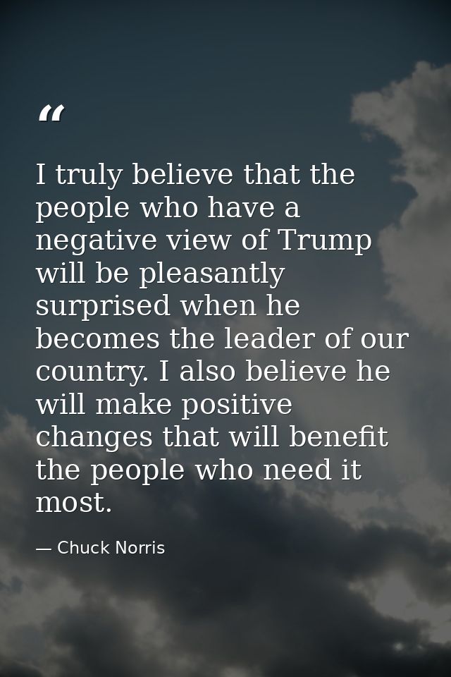 I truly believe that the people who have a negative view of Trump will be pleasantly surprised when he becomes the leade — Chuck Norris
