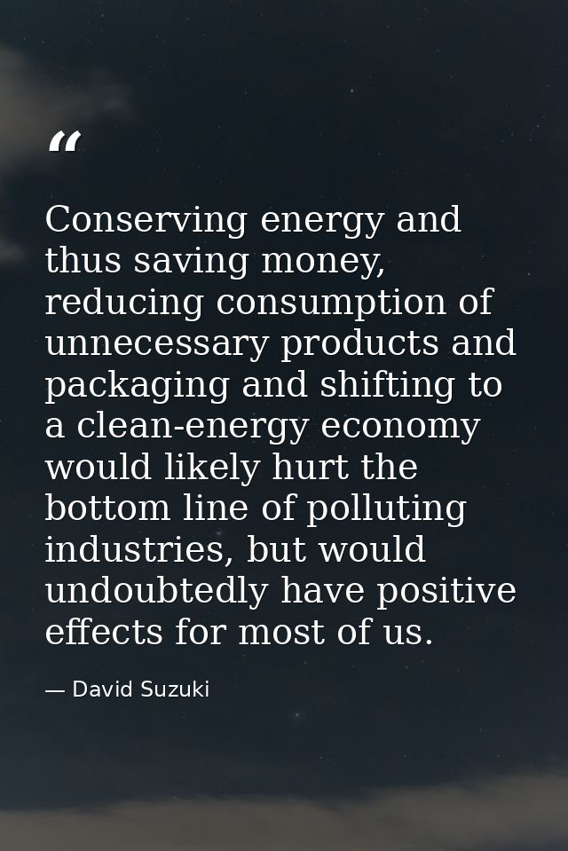 Conserving energy and thus saving money, reducing consumption of unnecessary products and packaging and shifting to a cl — David Suzuki