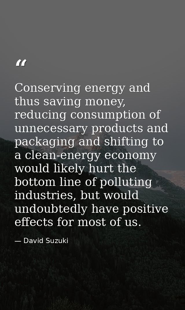 Conserving energy and thus saving money, reducing consumption of unnecessary products and packaging and shifting to a cl — David Suzuki