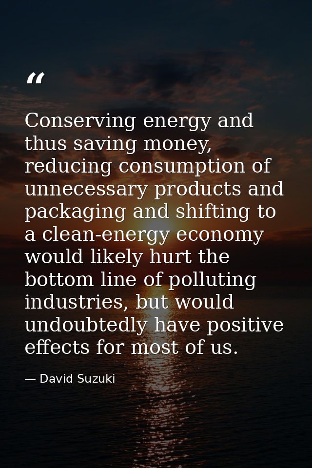 Conserving energy and thus saving money, reducing consumption of unnecessary products and packaging and shifting to a cl — David Suzuki