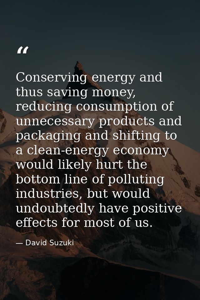 Conserving energy and thus saving money, reducing consumption of unnecessary products and packaging and shifting to a cl — David Suzuki