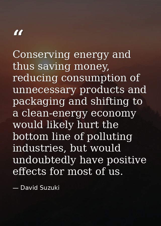 Conserving energy and thus saving money, reducing consumption of unnecessary products and packaging and shifting to a cl — David Suzuki