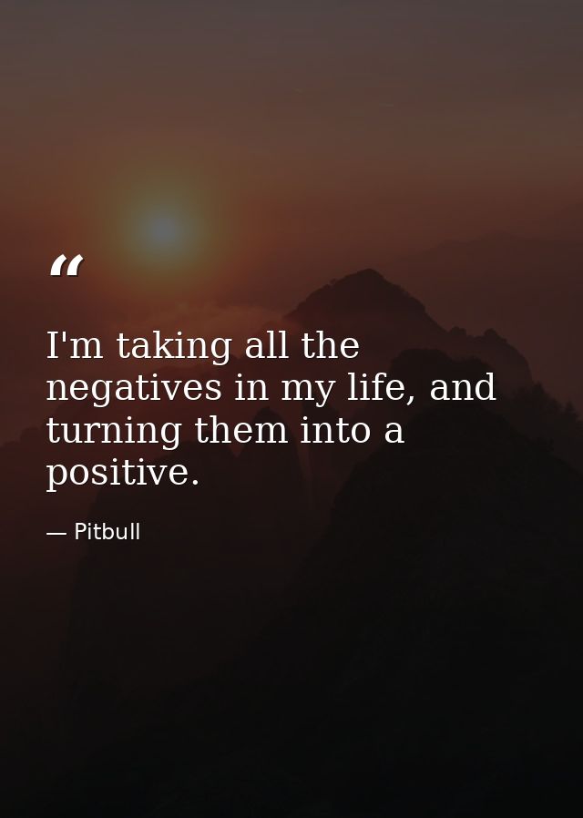 I'm taking all the negatives in my life, and turning them into a positive. — Pitbull