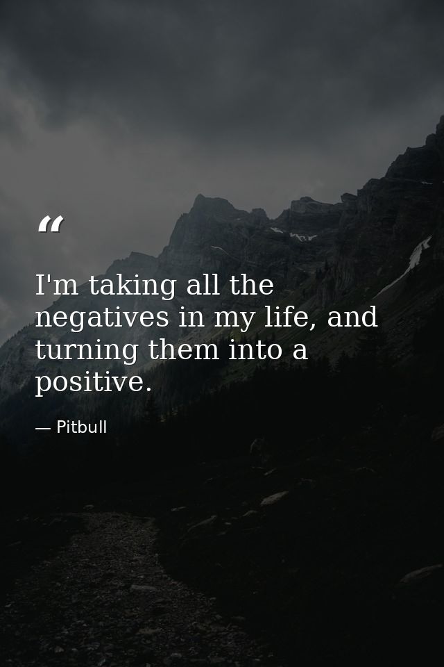I'm taking all the negatives in my life, and turning them into a positive. — Pitbull