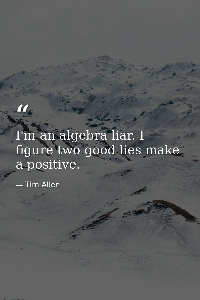 I'm an algebra liar. I figure two good lies make a positive. — Tim Allen