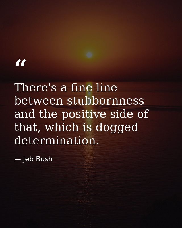 There's a fine line between stubbornness and the positive side of that, which is dogged determination. — Jeb Bush