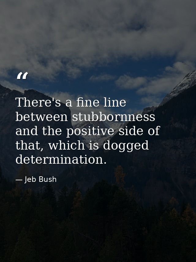 There's a fine line between stubbornness and the positive side of that, which is dogged determination. — Jeb Bush