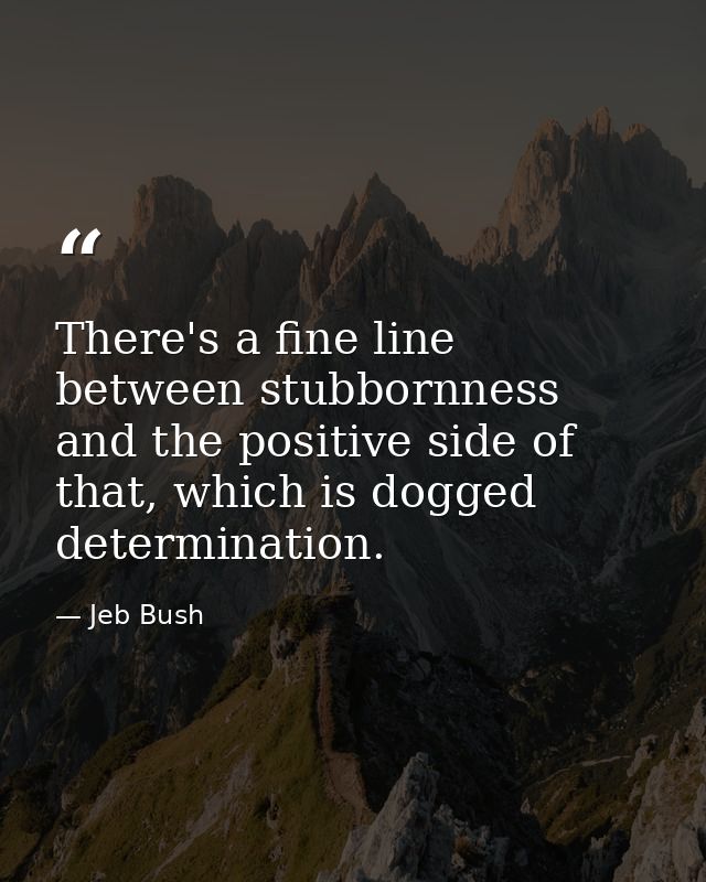 There's a fine line between stubbornness and the positive side of that, which is dogged determination. — Jeb Bush