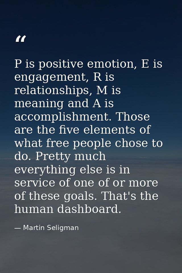 P is positive emotion, E is engagement, R is relationships, M is meaning and A is accomplishment. Those are the five ele — Martin Seligman