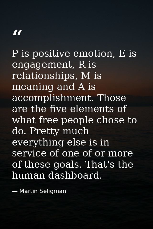 P is positive emotion, E is engagement, R is relationships, M is meaning and A is accomplishment. Those are the five ele — Martin Seligman