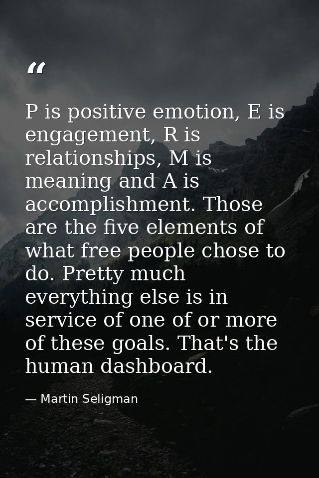 P is positive emotion, E is engagement, R is relationships, M is meaning and A is accomplishment. Those are the five ele — Martin Seligman